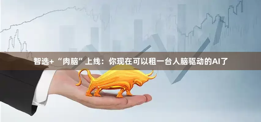 智选+ “肉脑”上线：你现在可以租一台人脑驱动的AI了