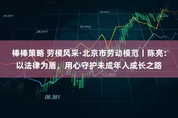 棒棒策略 劳模风采·北京市劳动模范丨陈亮：以法律为盾，用心守护未成年人成长之路